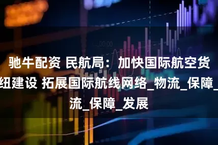 驰牛配资 民航局：加快国际航空货运枢纽建设 拓展国际航线网络_物流_保障_发展