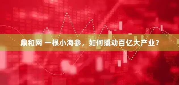鼎和网 一根小海参，如何撬动百亿大产业？