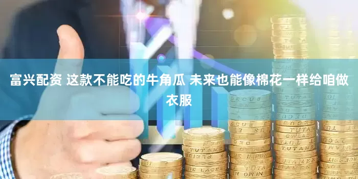 富兴配资 这款不能吃的牛角瓜 未来也能像棉花一样给咱做衣服